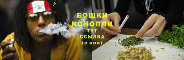 PSILOCYBIN Абдулино