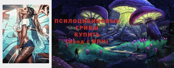 PSILOCYBIN Абдулино