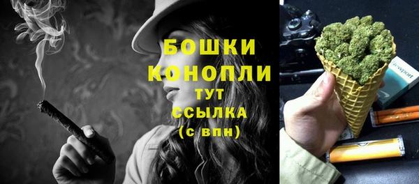 PSILOCYBIN Абдулино