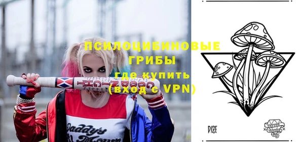 СК Абинск