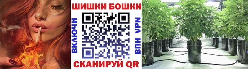Бошки Шишки MAZAR Емва